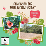 Allos ungesüßter Feigen- und Himbeerbrei, Set 6 x 500 Gramm Cereals Naty Shop