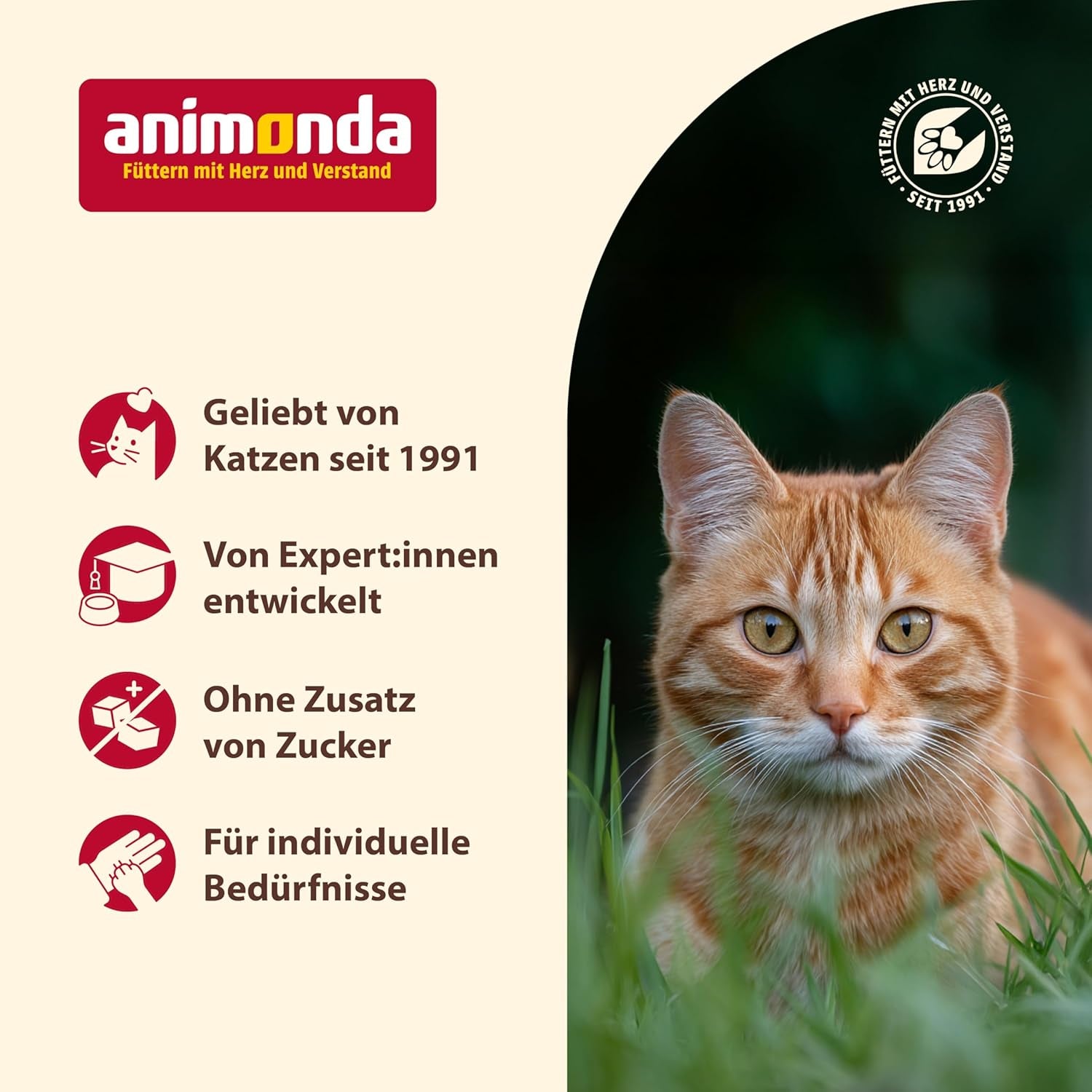 Animonda Carny Senior Nassfutter für Katzen mit Rind + Huhn + Käse (6 x 200 g), getreide- und zuckerfreies Nassfutter für Katzen ab 7 Jahren, mit frischen und fleischigen Zutaten