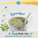 ORIGEENS BIO YERBA MATE MIT MINZE UND ZITRONE 200 G – Frische I Ungerösteter Bio Yerba Mate, Blätter, ohne Stiele und Staub