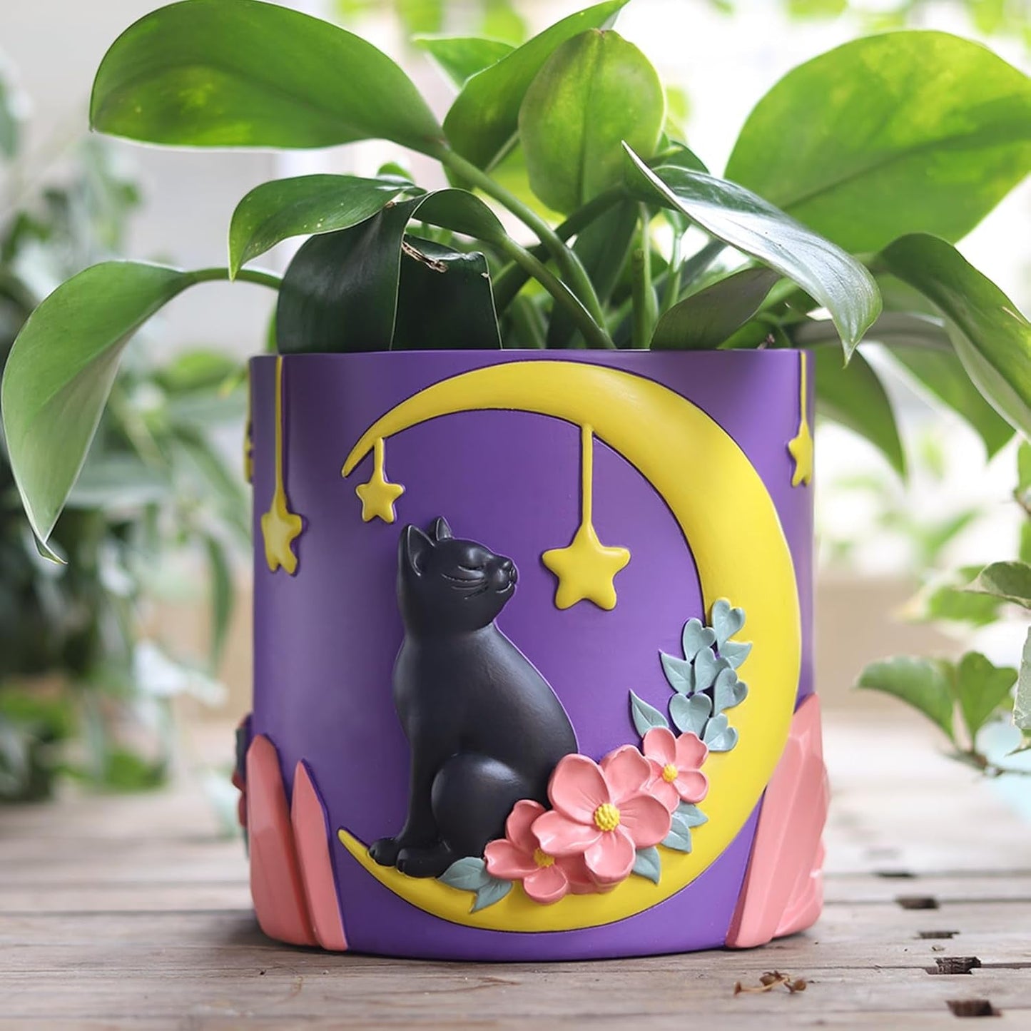 GUGUGO Niedliche Mondkatzen-Blumentöpfe, einzigartiger Blumentopf mit Drainage, Regenbogenfarben, kleine Zimmerpflanzentöpfe, lustige Sukkulenten-Gartentöpfe, Geschenk, Heimdekoration (C)