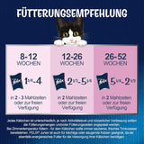 Felix As Good As It Looks Junior Nassfutter in Gelee für Kätzchen, sortierte Mischung, 6er-Pack (6 x 12 Beutel à 85 g)