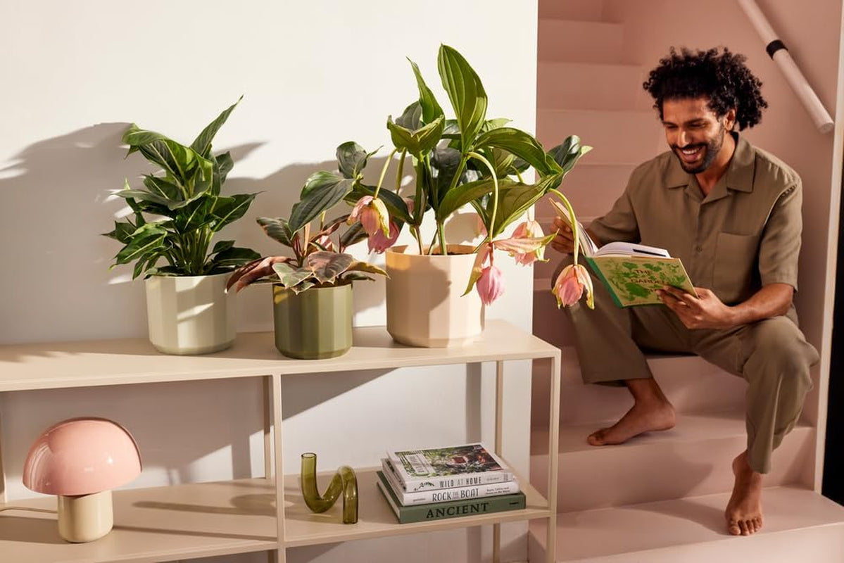 Runder Topf elho Facet 17 cm – für den Innenbereich – 100 % recycelter Kunststoff – Ø 16,6 x H 14,9 cm – Rosa/Mandelrosa