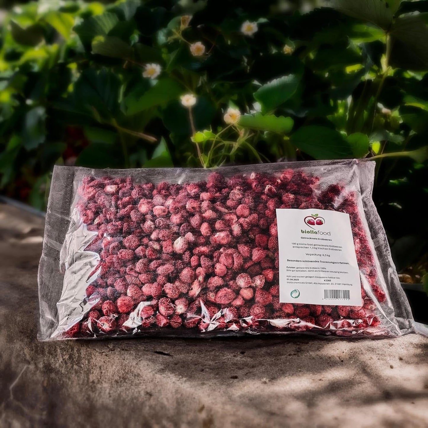 Biolla Food ganze getrocknete Erdbeeren, 0,5 kg, 100 % natürlich. Gesunde Snacks für Kinder. Ideal für Smoothies, Hafermüsli, Tee und Porridge. Lange Haltbarkeit. VEGANE, GLUTENFREI, ROHNAHRUNG Naty Shop Dehydrierte Produkte