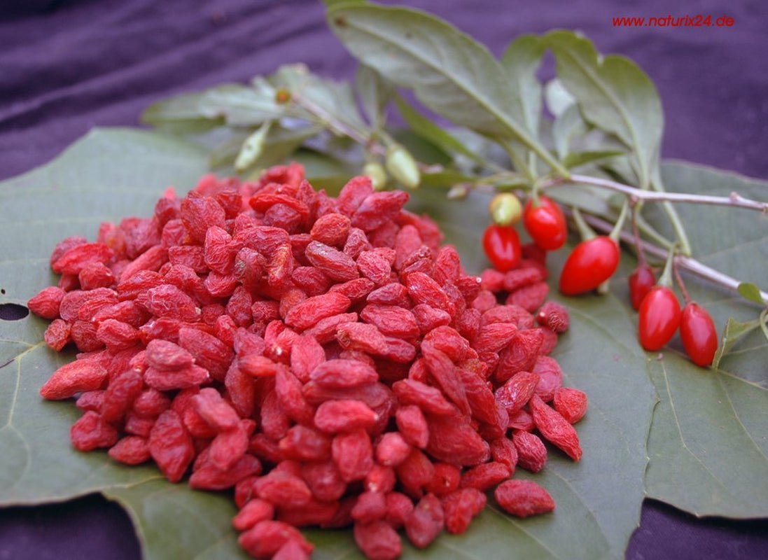Getrocknete Goji-Beeren – Geschmacksbeutel, 1 Packung (1 x 1 kg) Dehydrierte Produkte Naty Shop Standardtitel