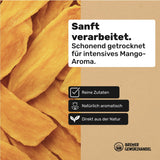Bremer Gewürzhandel Mango, getrocknete Mangostreifen, ungeschwefelt, ohne Zuckerzusatz, 1kg Dehydrierte Produkte Naty Shop