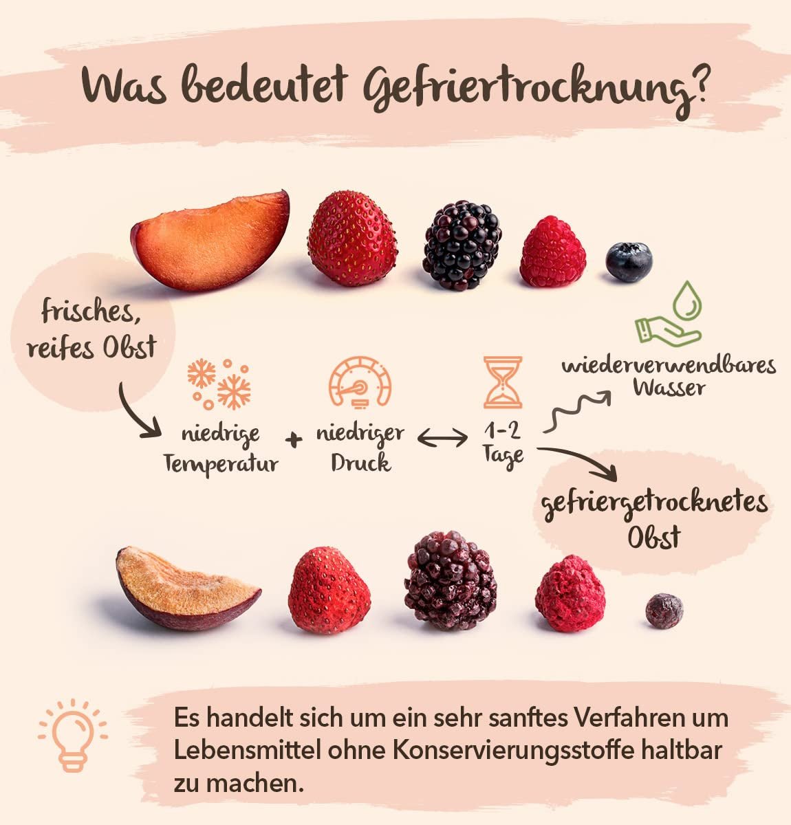 BRIX gefriergetrocknete Bananen | Natürliche Bananen, getrocknet 140 g | Great Taste Award für Trockenfrüchte, getrocknet | GVO-frei, glutenfrei, vegan, konservierte Vitamine Naty Shop dehydrierte Produkte
