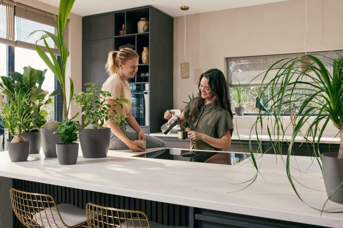 elho The Coffee Collection, runde Kanne für den Innenbereich, 18 cm, aus Kaffeesatz und recyceltem Kunststoff – Braun/Espressobraun