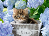 Kinderpuzzle Ravensburger - 12894 Kleine Katze - Tierpuzzle für Kinder ab 9 Jahren, mit 300 Teilen im XXL-Format Puzzle Naty Shop