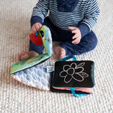 Lamaze Buntes Raupenfahrgeschäft, Spielzeug für Neugeborene, sensorisches Babyspielzeug mit Farben und Geräuschen, Entwicklungsspielzeug für Jungen und Mädchen ab 6 Monaten, L27463 Babyspielzeug Naty Shop