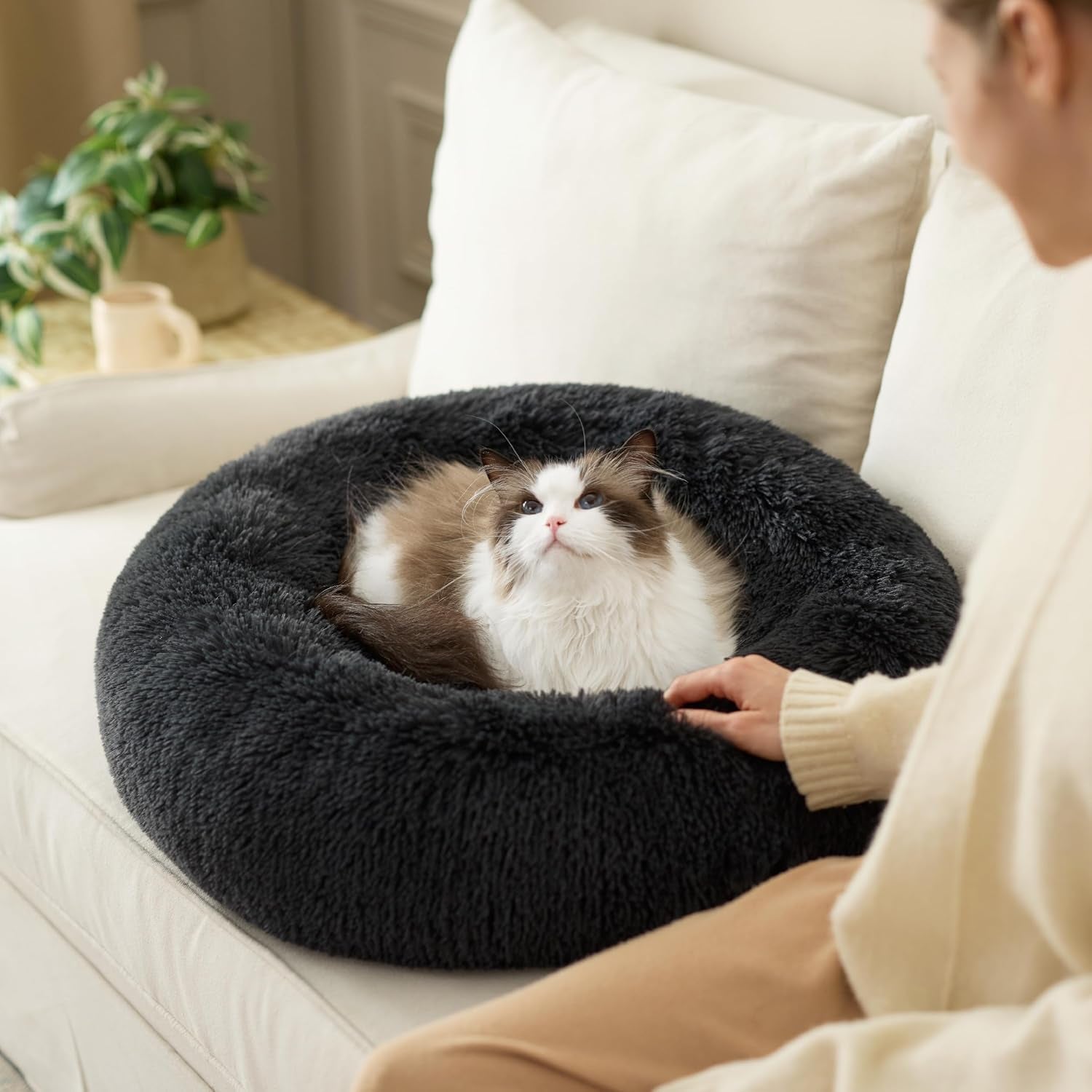 Betten, Decken & Möbel, Haustiere, Katzen, Katzenbetten, Katzenbetten, Matratzen