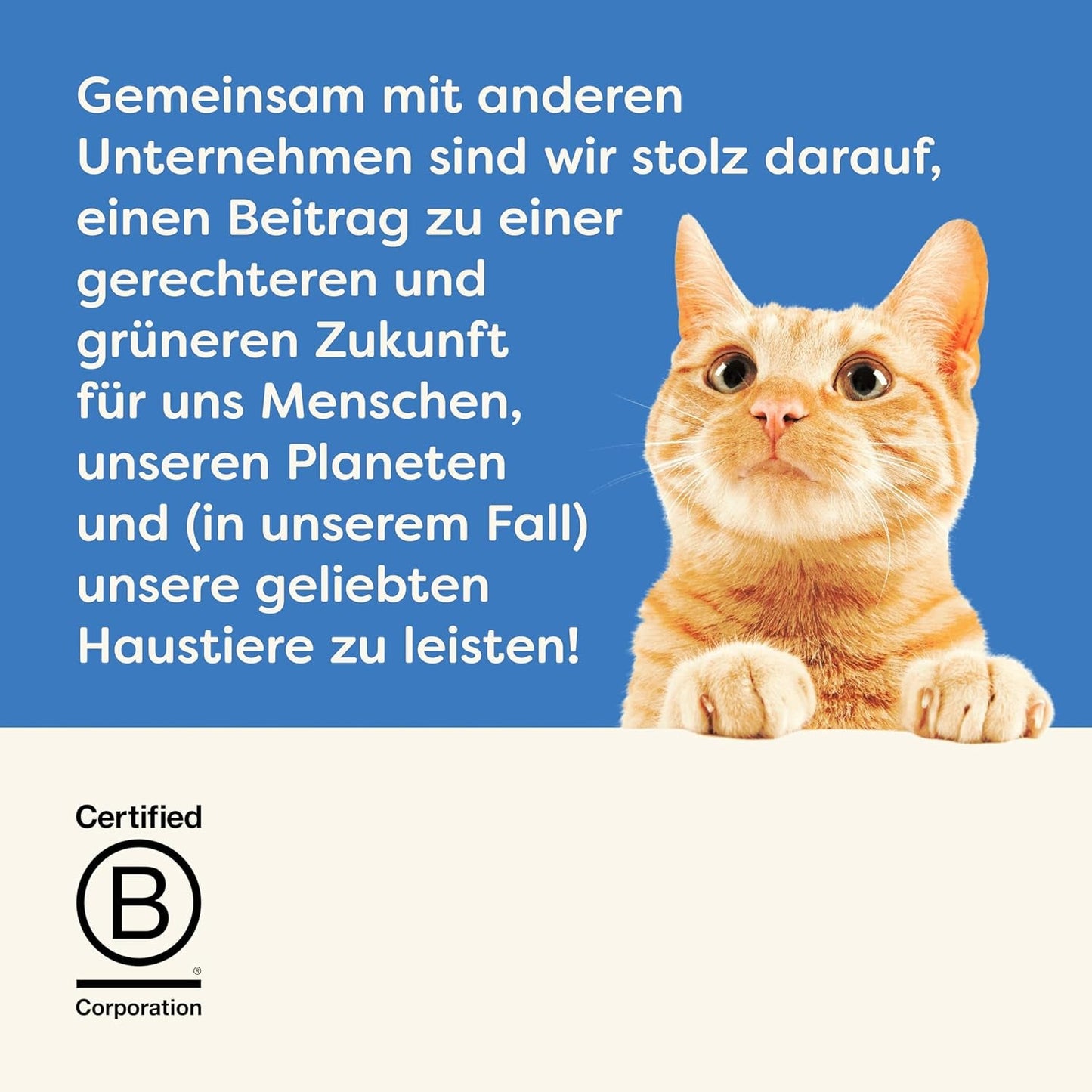 Applaws 100 % natürliches Nassfutter für ausgewachsene Katzen, verschiedene Fischsorten in Soße, Mehrfachpackung, 12 Boxen x 70 g