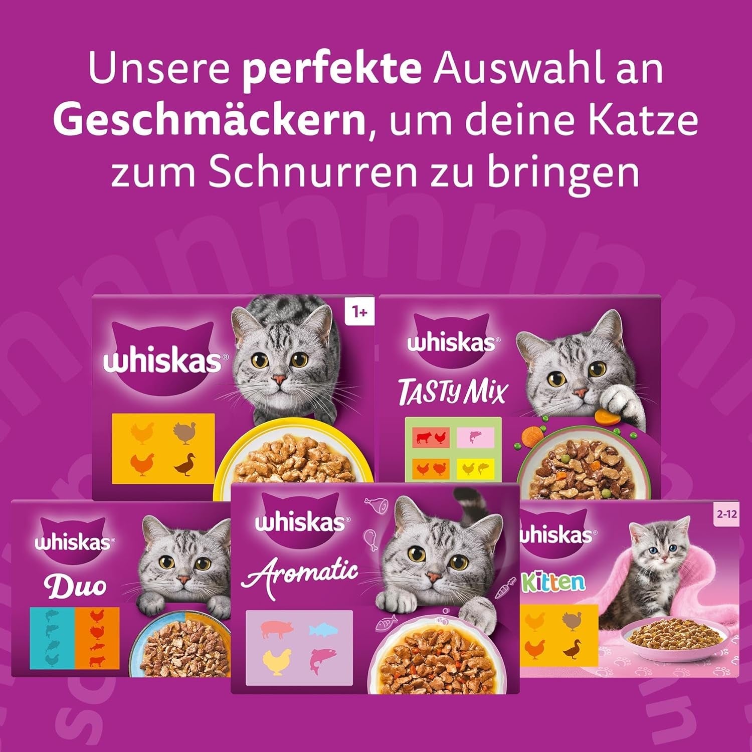 Whiskas Senior 7+ Nassfutter Gemischte Auswahl in Gelee, 84 Beutel, 84x85g (1 Großpackung) – Hochwertiges Nassfutter für Katzen ab 7 Jahren