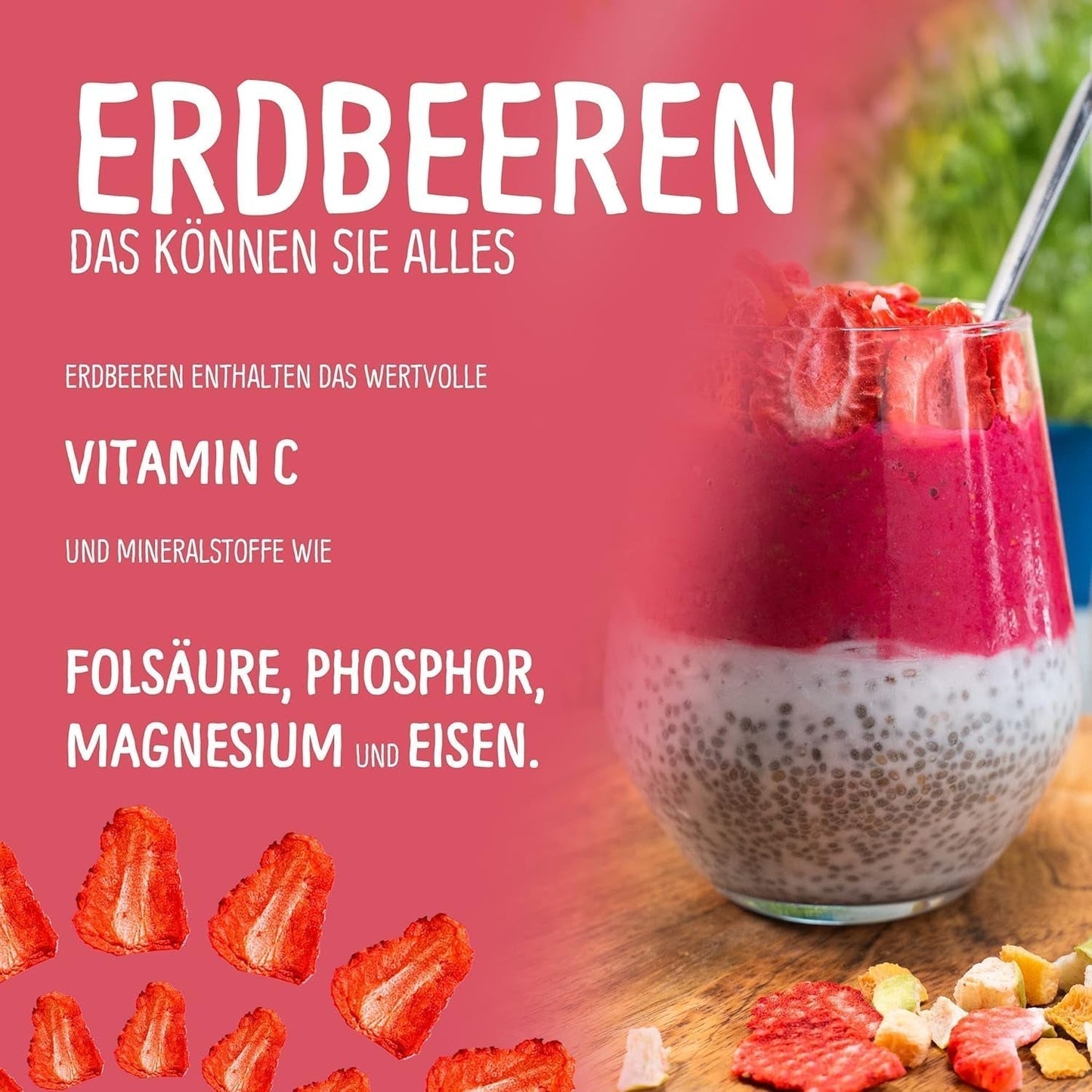 Bio-Gefriergetrocknete Erdbeeren: 70 g getrocknete Erdbeeren für Smoothie-Bowls, Müsli, Porridge-Toppings – gefriergetrocknete Beeren ohne Zuckerzusatz – gefriergetrocknete Erdbeeren – NutriPur-Früchte. Dehydrierte Produkte Naty Shop