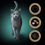 Sheba Portionsbeutel Nassfutter für Katzen, frisches und feines Truthahn- und Hühnergelee, Multipack, 6 x 6 x 50 g – hochwertiges Katzenfutter mit Truthahn und Hühnergelee
