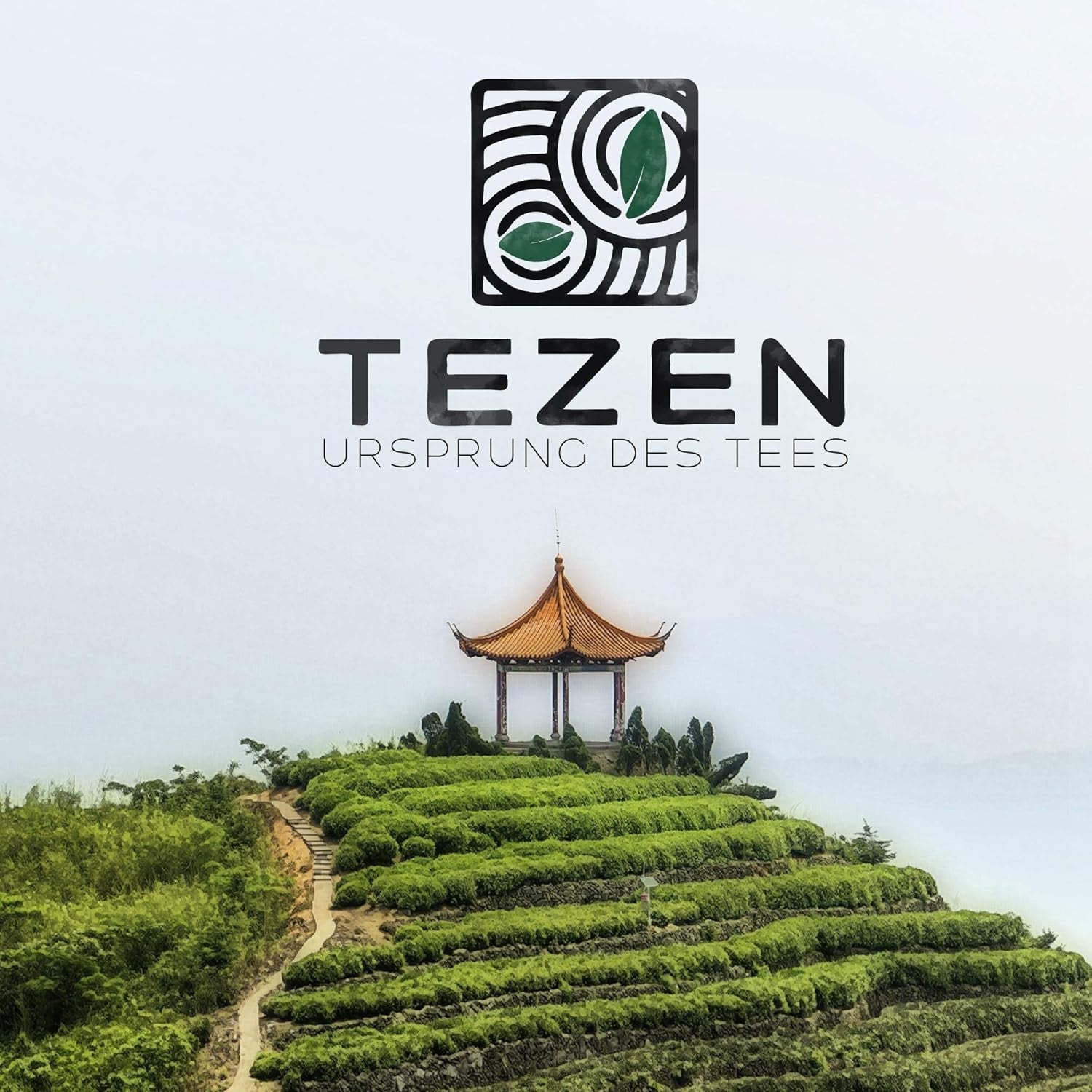 Tie Guan Yin Oolong Tee aus Anxi, China | Ernte 2025 | Hochwertiger chinesischer Oolong-Tee | Hochwertiger chinesischer Tee aus traditionellen Plantagen, 100 g
