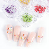 EYVRPAU 6 Stück Nail Art Flowers Set Dekoration, Gelnägel Zubehör 6 Farben, Nail Art Aufkleber Trockene Blumen Kit Getrocknete Blumen Zubehör Set DIY Nageldekoration