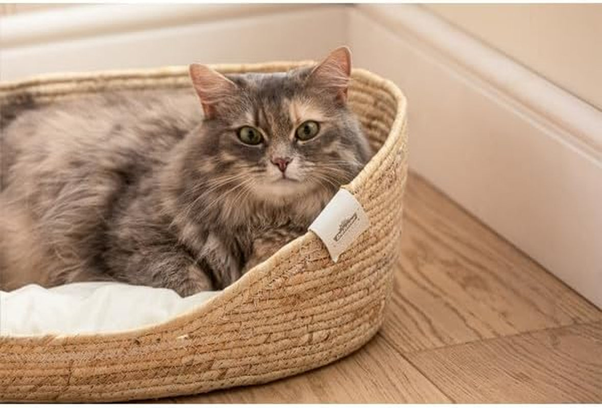 Betten und Sofas, Decken und Möbel, Haustiere, Katzen, Betten für Katzen, Katzenbetten, Matratzen