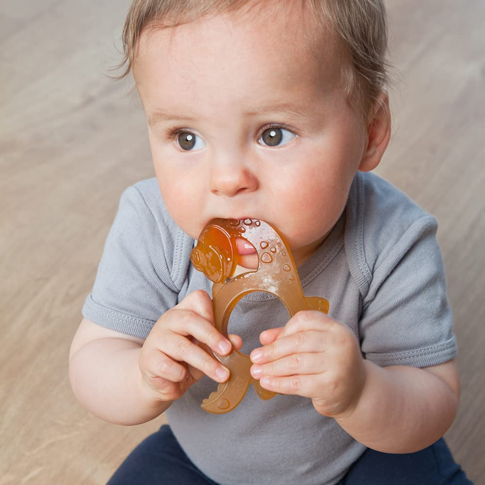 GRÜNSPECHT Bio-Beißring aus Naturkautschuk für zahnende Babys, massiert das Zahnfleisch, BPA-frei, weich, fördert die Feinmotorik, Dinosaurier-Muster (639-V1)