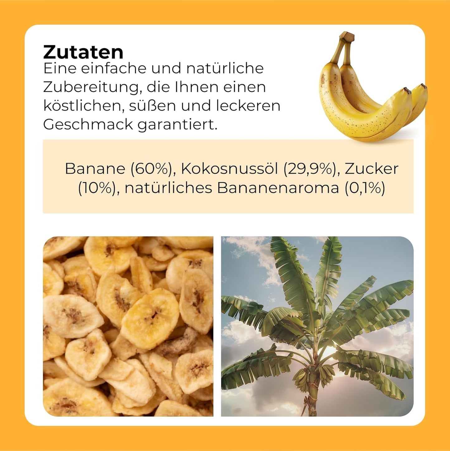 Bananenchips 1 kg | Knusprige Bananenchips mit Trockenfrüchten | gesunder Snack mit köstlichem Geschmack | Naty Shop dehydrierte Produkte