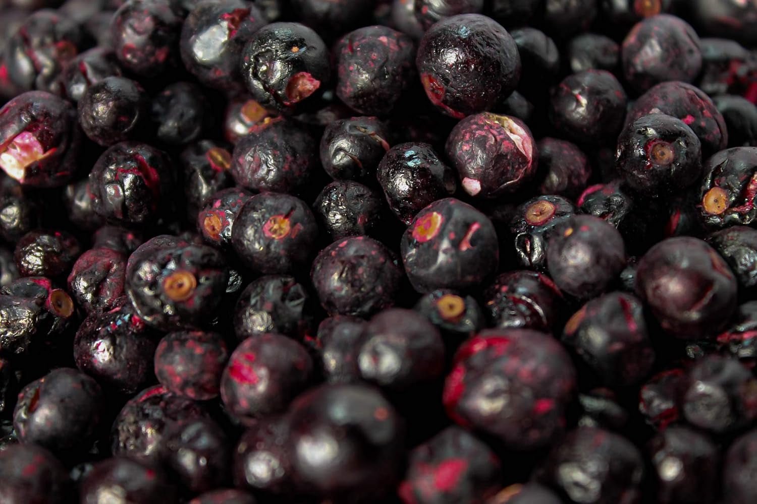 Gefriergetrocknete schwarze Johannisbeeren 250g - Gefriergetrocknete Früchte - Gefriergetrocknete Trockenfrüchte - Getrocknete schwarze Johannisbeeren zum Backen, Müsli, Dekorieren von Kuchen, Desserts Dehydrierte Produkte Naty Shop