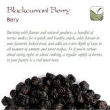 Bio ungesüßte schwarze Johannisbeeren – Getrocknete Johannisbeeren Fruchtige Beeren – ideal zum Backen Johannisbeeren Himbeeren Tee Schwarze Johannisbeeren Getrocknete schwarze Johannisbeeren Dehydrierte Produkte Naty Shop