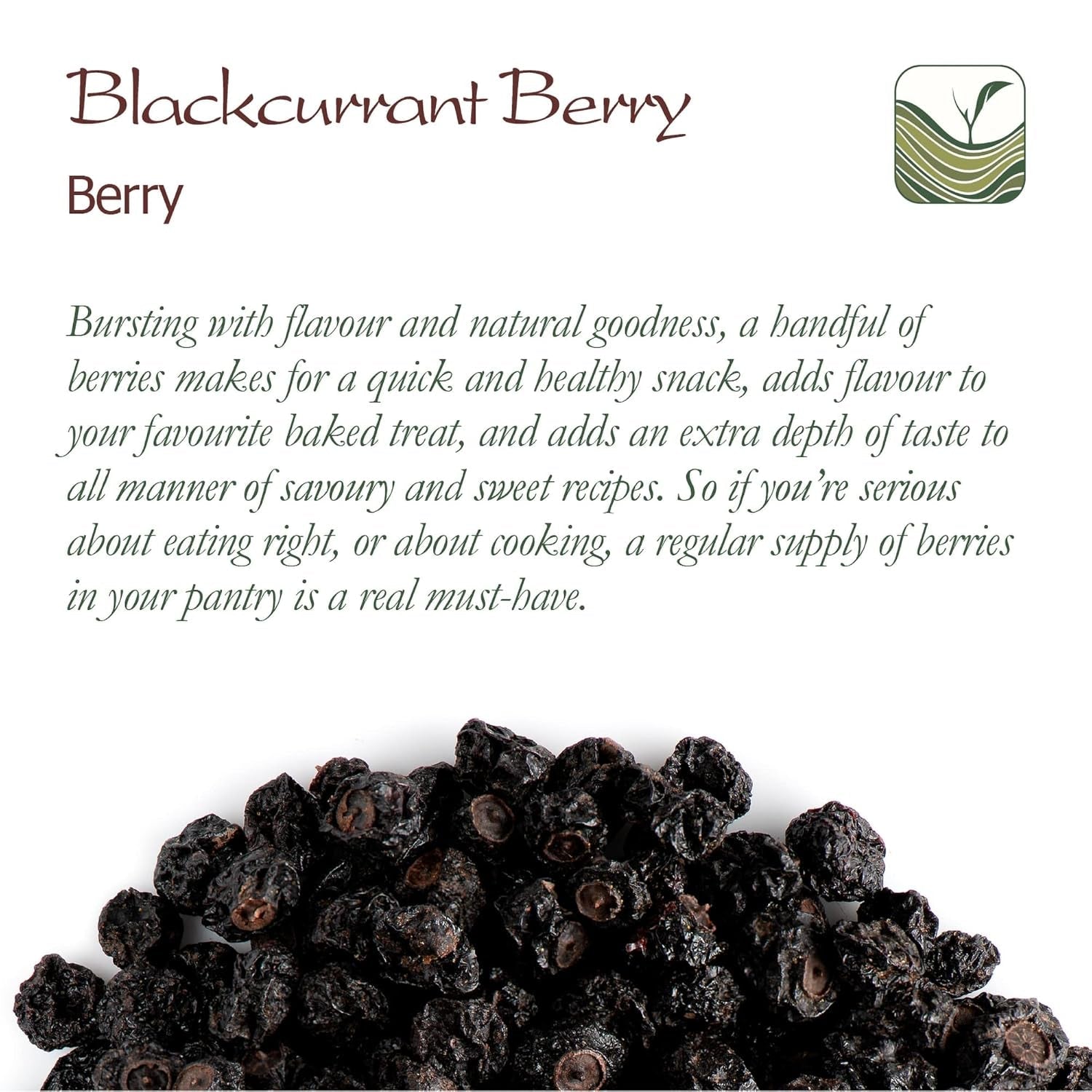 Bio ungesüßte schwarze Johannisbeeren – Getrocknete Johannisbeeren Fruchtige Beeren – ideal zum Backen Johannisbeeren Himbeeren Tee Schwarze Johannisbeeren Getrocknete schwarze Johannisbeeren Dehydrierte Produkte Naty Shop