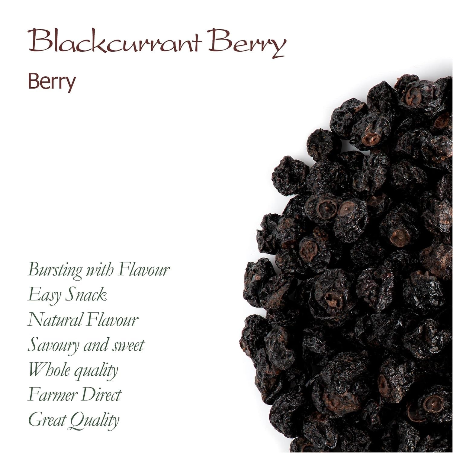 Bio ungesüßte schwarze Johannisbeeren – Getrocknete Johannisbeeren Fruchtige Beeren – ideal zum Backen Johannisbeeren Himbeeren Tee Schwarze Johannisbeeren Getrocknete schwarze Johannisbeeren Dehydrierte Produkte Naty Shop