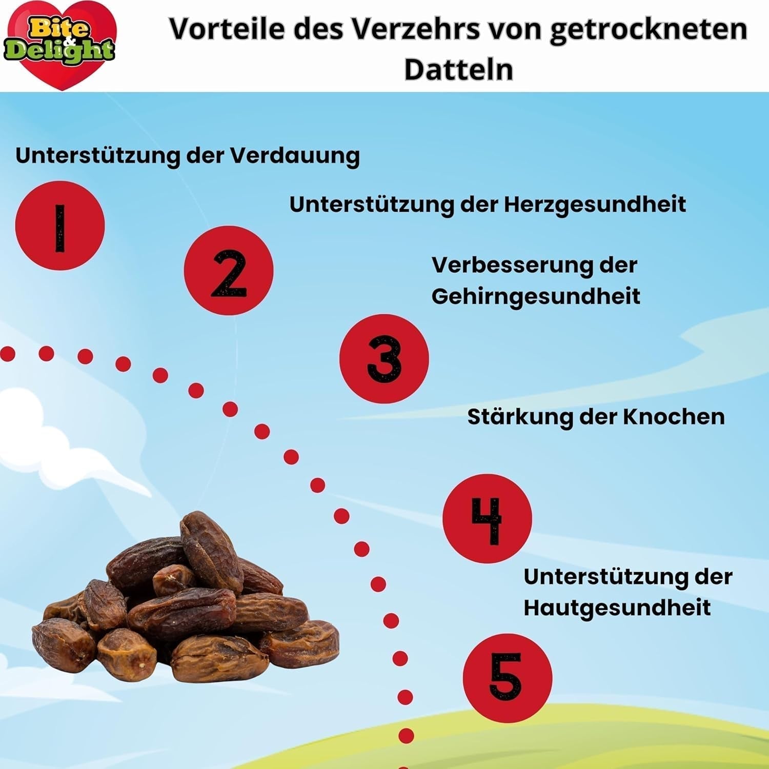 Getrocknete Datteln von Bite & Delight – Ganz, getrocknet und natürlich – Aromatische Süßigkeiten – Lecker und saftig – Verzehrfertige Fruchtsnacks – Vegan – Ohne Zuckerzusatz – 1250 g Naty Shop dehydrierte Produkte