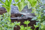 Gardena Micro-Drip-System T-Stück für Sprühdüsen: Verbindung zwischen 13 mm Rohren und einer Sprühdüse, automatische Pflanzenbewässerung, schnelle und einfache Verbindungstechnik, wiederverwendbar (13206-20)