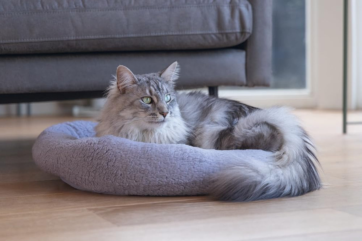 Betten, Decken & Möbel, Haustiere, Katzen, Katzenbetten, Katzenbetten, Matratzen