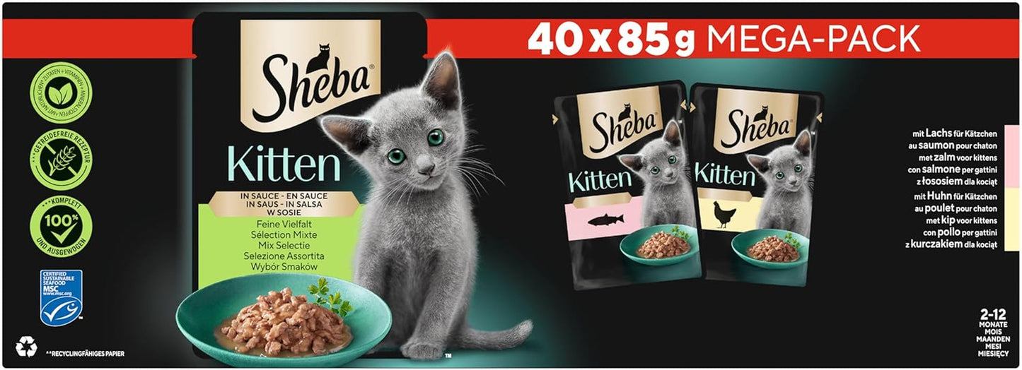Sheba Nassfutter für Kätzchen, in sortierten Beuteln, mit Lachs (MSC) und Huhn in Sauce, Multipack 40x85g