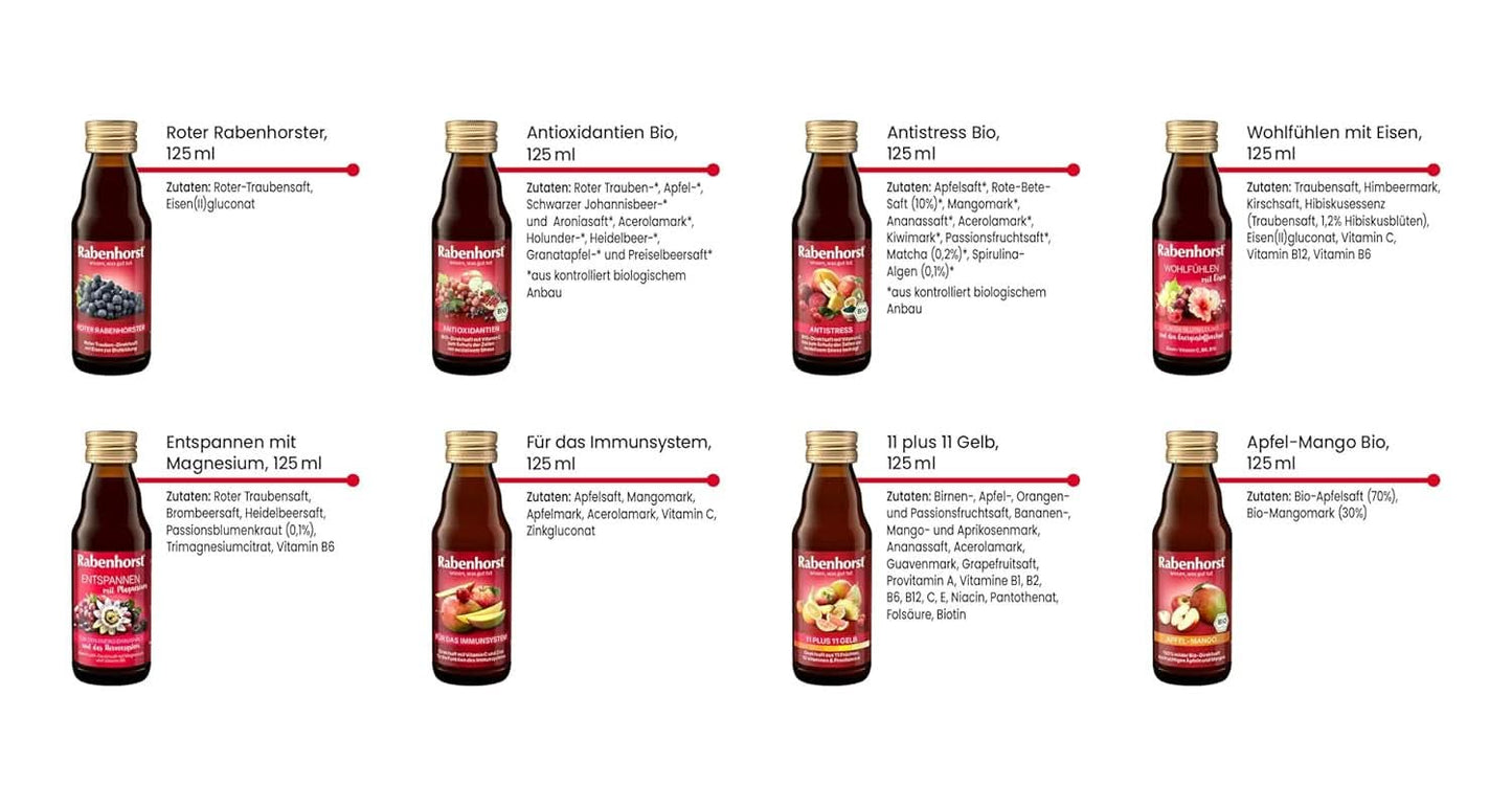 Rabenhorst Mini-Probierpaket, 8 Sorten oder 3 Flaschen (24 x 125 ml) Alkoholfreie Getränke Naty Shop