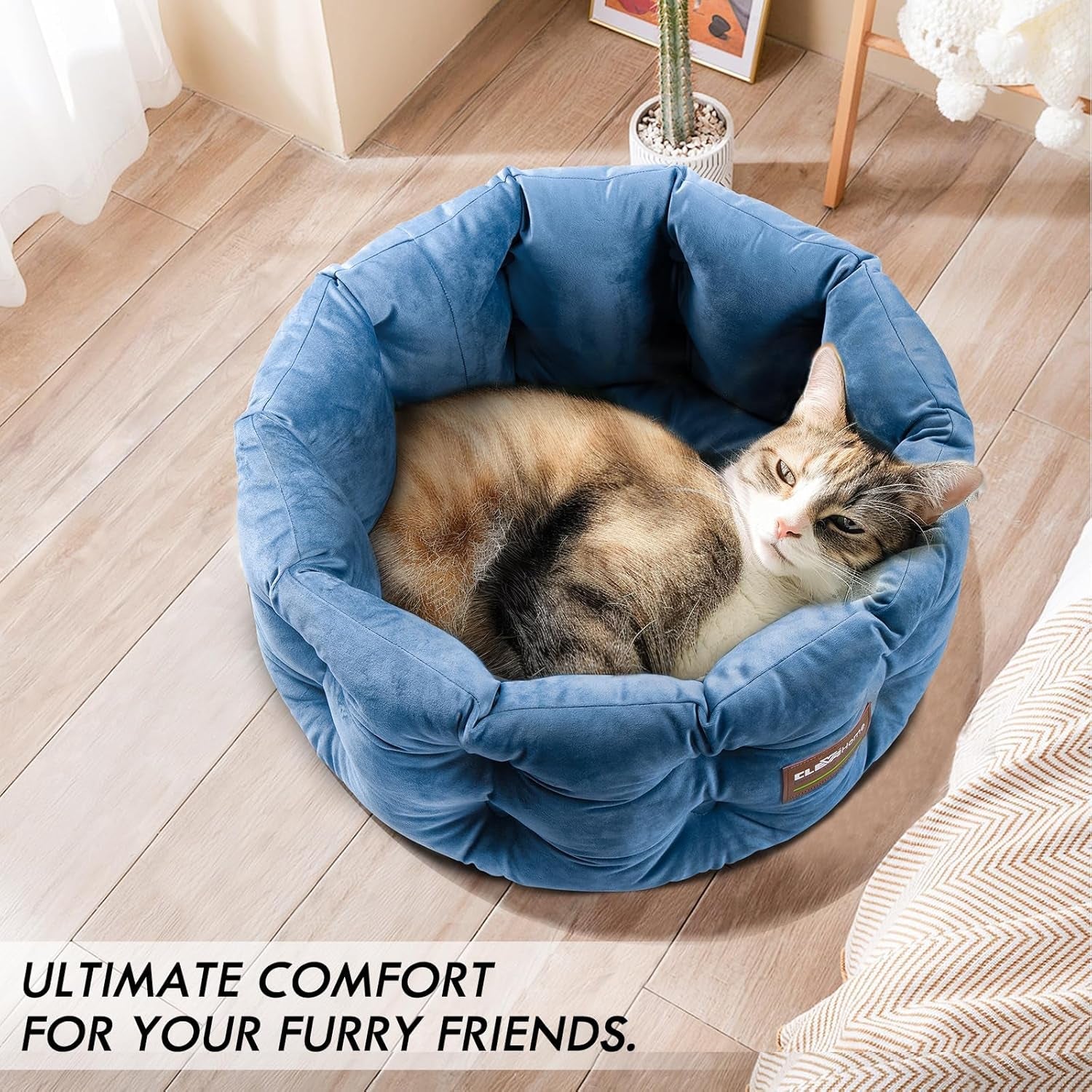 Betten und Sofas, Decken und Möbel, Haustiere, Katzen, Betten für Katzen, Katzenbetten, Matratzen