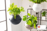 LECHUZA BOLA Farbe 32 weiß 16850