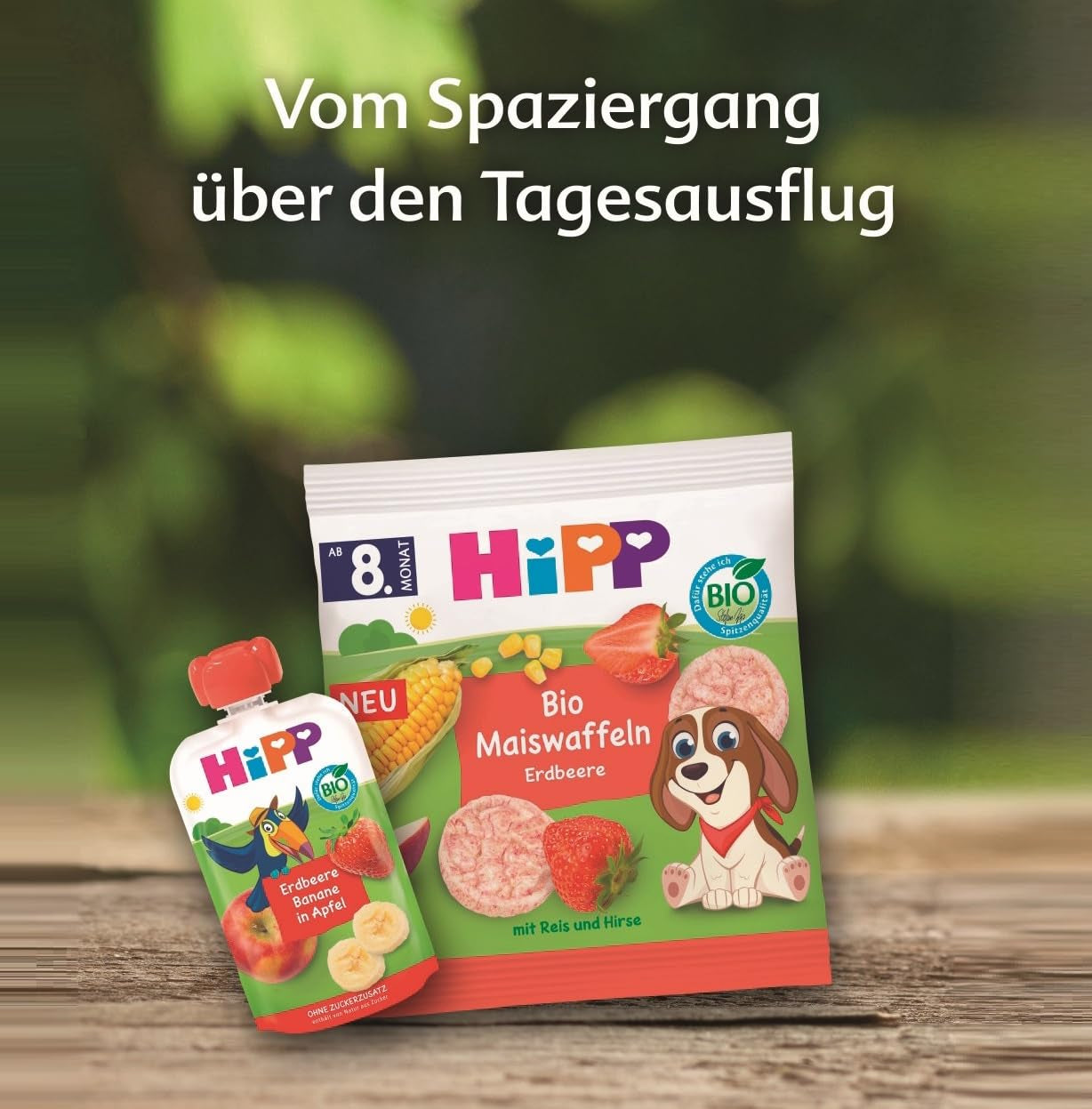 HiPP Haferflocken-Vanille-Herz-Mini-Kekse (12 x 40 g), ab 1 Jahr, Bio-Snackriegel in Herzform, reich an Getreide und Ballaststoffen, nur mit Früchten gesüßt, in bester Bio-Qualität