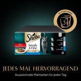 Sheba CATCARE Bag Wet Fresh & FINE (Fisch) Stücke in Soße, Erwachsene, 50 g, Multipack Standard