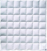 Billerbeck Daunendecke – E04 Gold Edition – Ganzjahresbettdecke – 135 x 200 cm echte Daunendecke – mittlere Wärme Naty Shop Bettdecken und Steppdecken Medium (M) 200 x 200 cm
