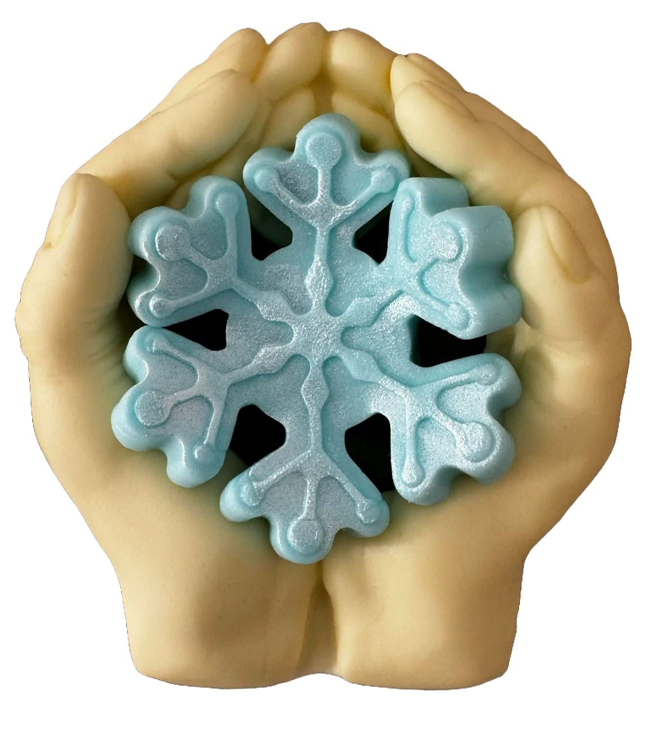 Essbare Zuckerdekoration, Winterdekorationen aus Zuckerpaste Nati Shop