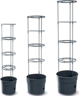 Prosperplast Tomatensämlingstöpfe mit Spalier – Stabiler Pflanzkasten aus Kunststoff | Anthrazit | Witterungs- und UV-beständig | 29,5 x 115,2 cm | Ideal für Garten und Terrasse