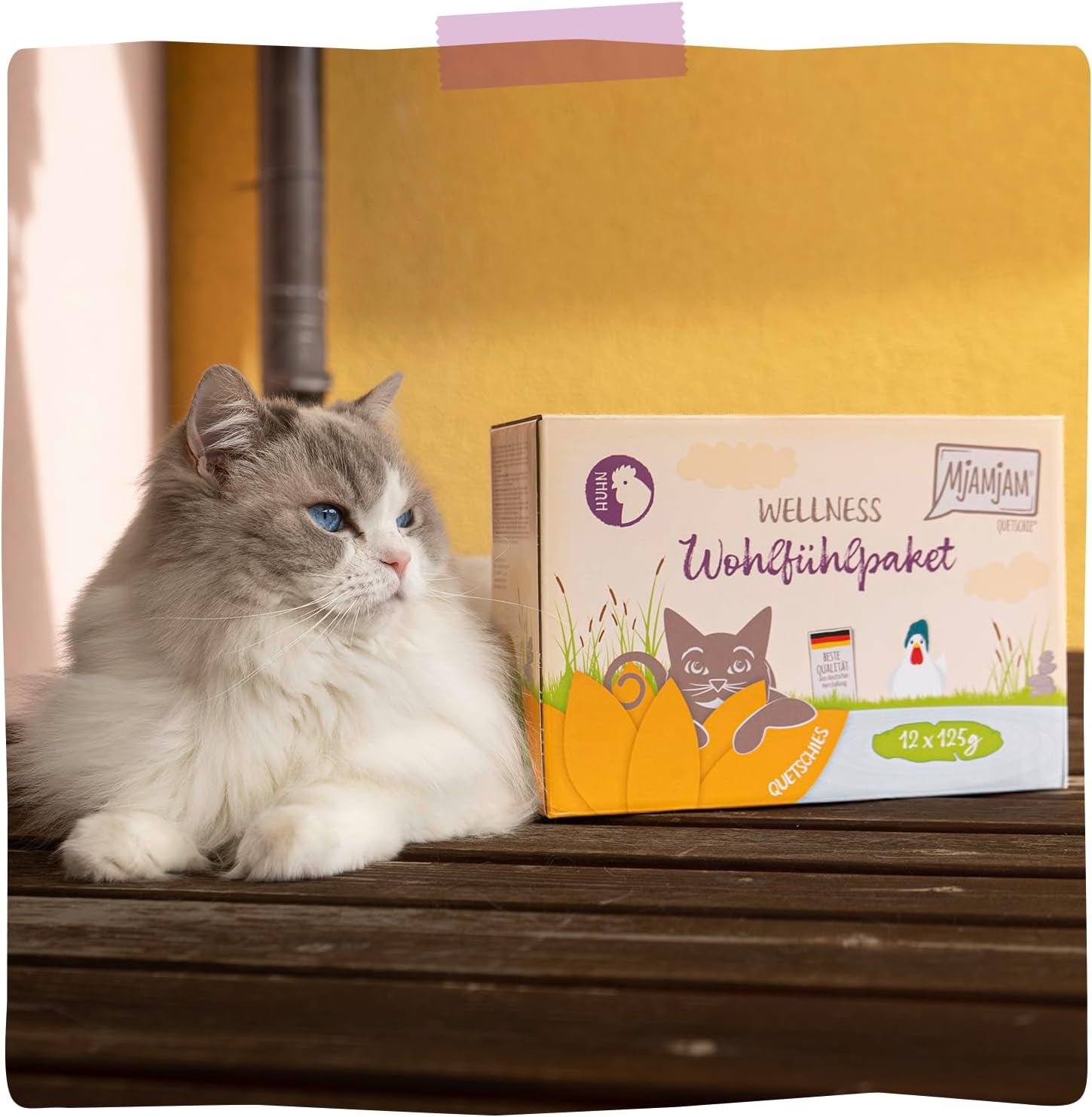 MjAMjAM – Premium-Nassfutter für Katzen – Huhn-Wellness-Packung, 12er-Pack (12 x 125 g), getreidefrei mit extra Fleisch