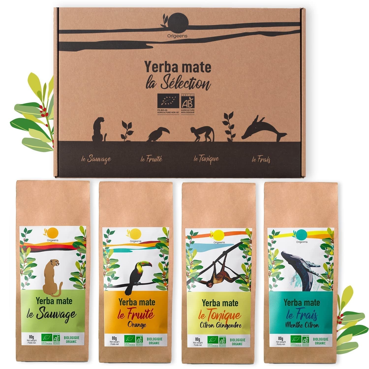 ORIGEENS BIO MATE TEE GESCHENKSET X4 I Yerba Mate Bio 4X80G I Yerba Mate Teeset, Geschenkidee