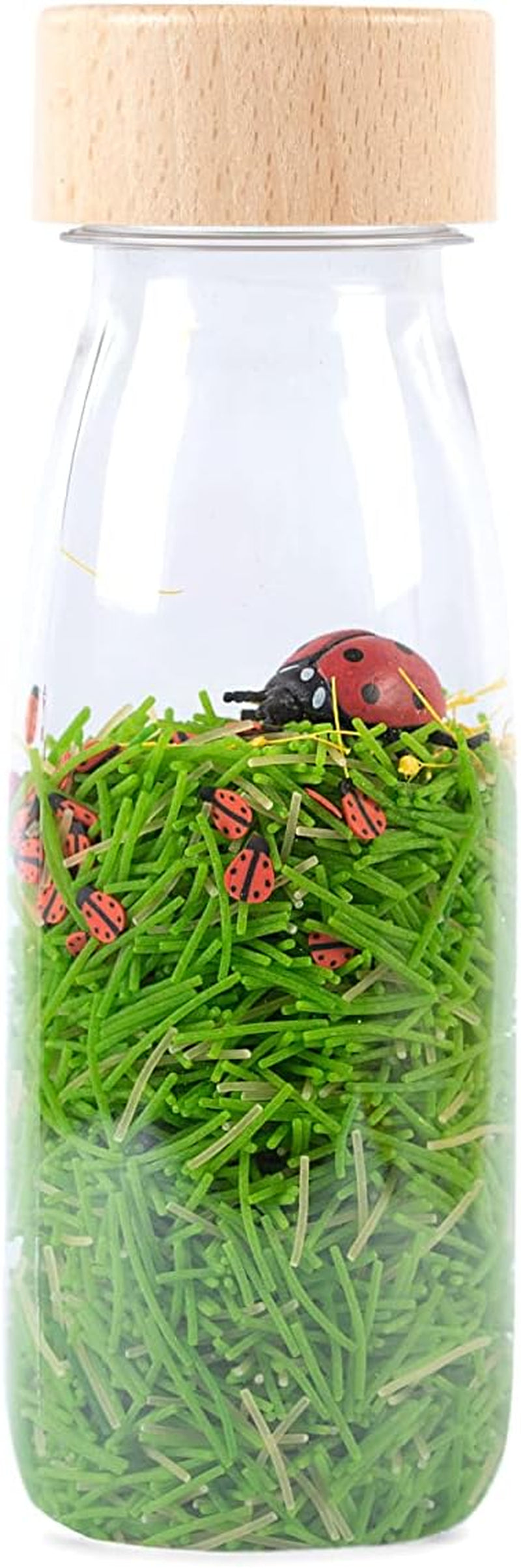 Blue Tang Sound Bottle Baby Naty Shop Marienkäfer-Spielzeug