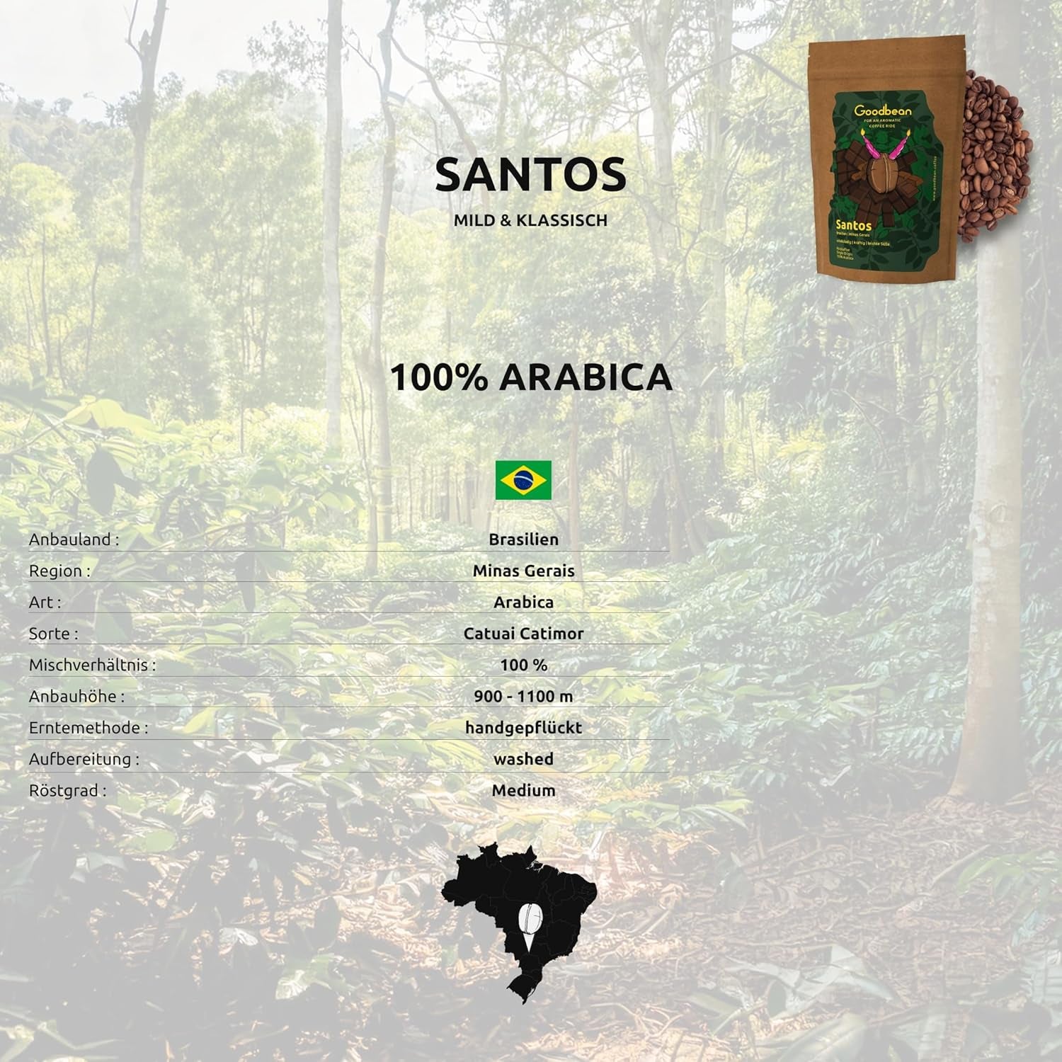 Santos | Kaffeebohnen 2500g - 100% Arabica aus Brasilien | für Espresso, Cappuccino oder starken Filterkaffee | Omni-Roast | Klassischer Kaffee – der perfekte Einstieg in den Spezialitätenkaffee