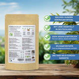 Bio-Matcha-Tee Premium-Pulver, 100 g, hochwertigster Grüntee aus Japan Kagoshima – perfekt für Smoothie, Matcha Latte, japanischer Grüntee, vegan, ohne Zusatzstoffe, plastikfreie Verpackung