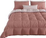 PETTI Artigiani Italiani – Winterdecke für Doppelbett, Maxi, einfarbig, doppelseitig, weiß, grau, 100 % Made in Italy. Bettdecken und Steppdecken Naty Shop Powder Matrimonial Standard (240 x 260 cm)