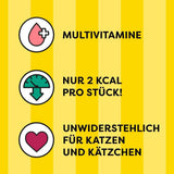 DREAMIES SHAKE UPS Multivitamin Seafood Festival Katzensnacks in Portionsbeuteln – 55 g (6 Beutel)