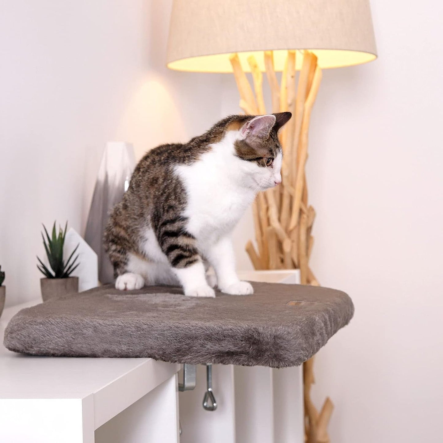 Decken und Möbel, Fensterbänke, Haustiere, Katzen, Betten für Katzen, Katzenbetten, Matratzen