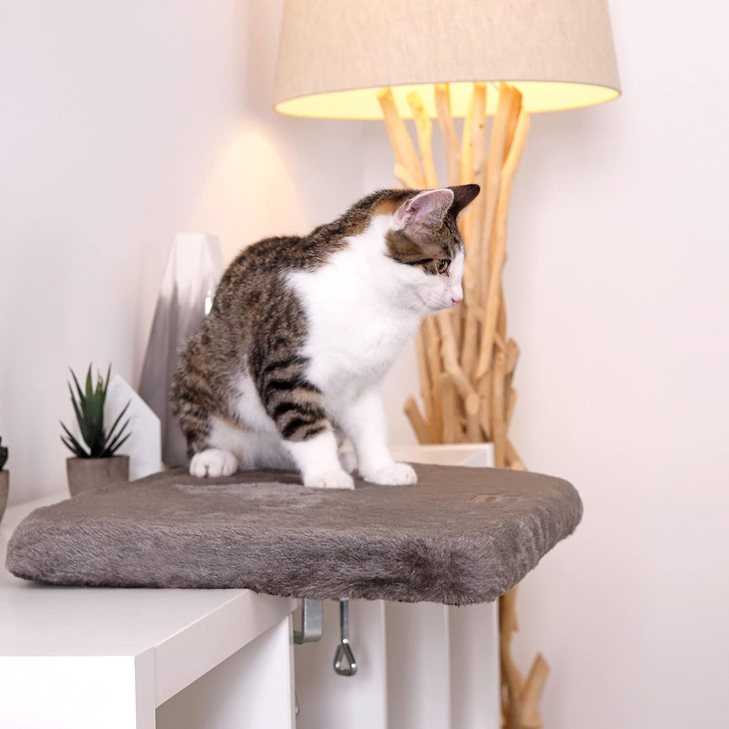 Decken und Möbel, Fensterbänke, Haustiere, Katzen, Betten für Katzen, Katzenbetten, Matratzen