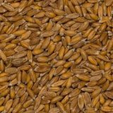 Wholefood Earth Bio-Dinkelkörner – 3 kg | GVO-frei | Vegan | Reich an Ballaststoffen | Bio-zertifiziert