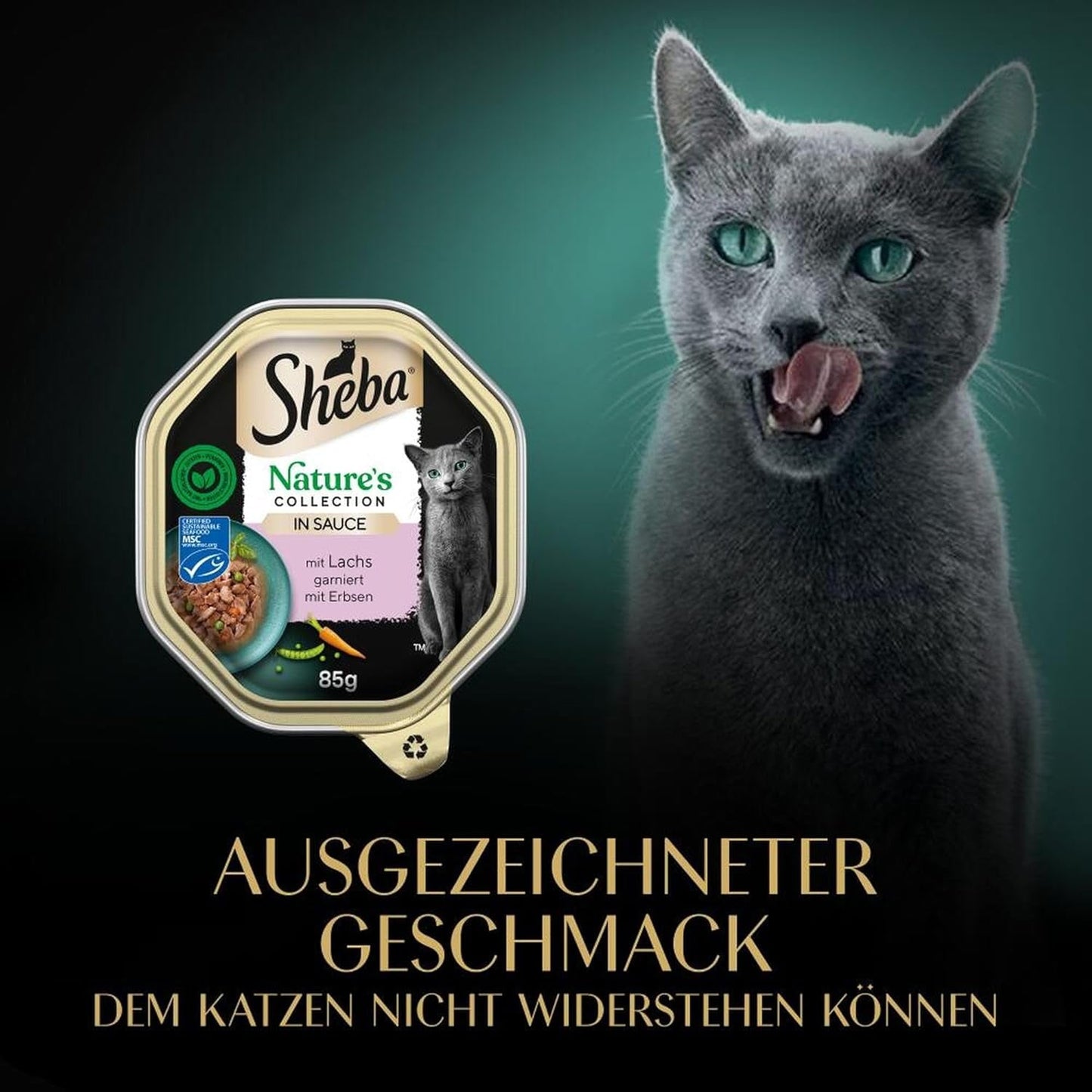 SHEBA Nassfutter für Katzen, Nature's Collection in Lachssauce, 2 x 11 x 85 g